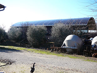 copertura_raggio_variabile_2 lamiere per coperture rette